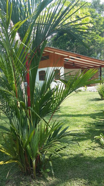 Los Delfines Lodge Puerto Viejo de Talamanca Room photo