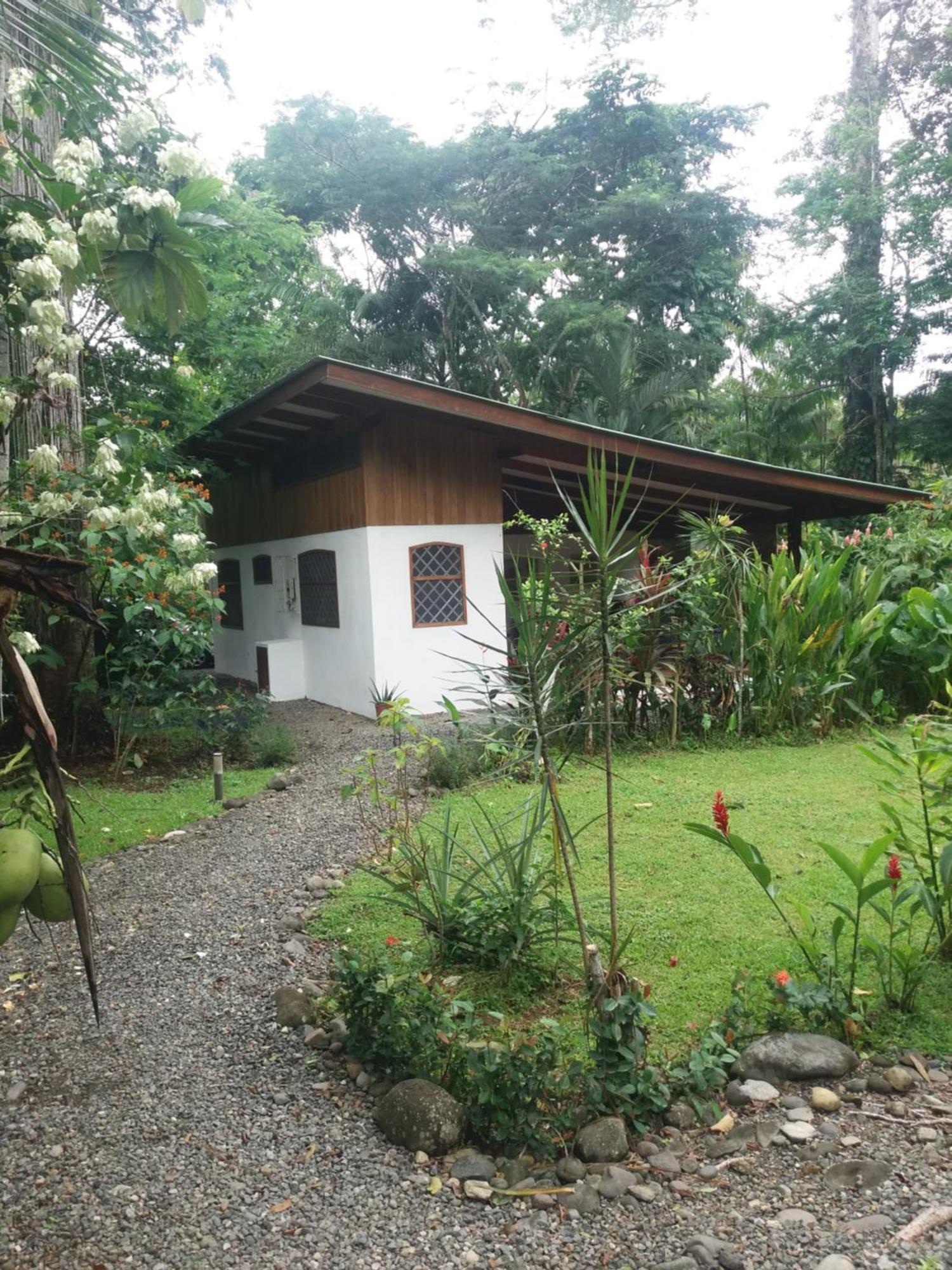 Los Delfines Lodge Puerto Viejo de Talamanca Exterior photo