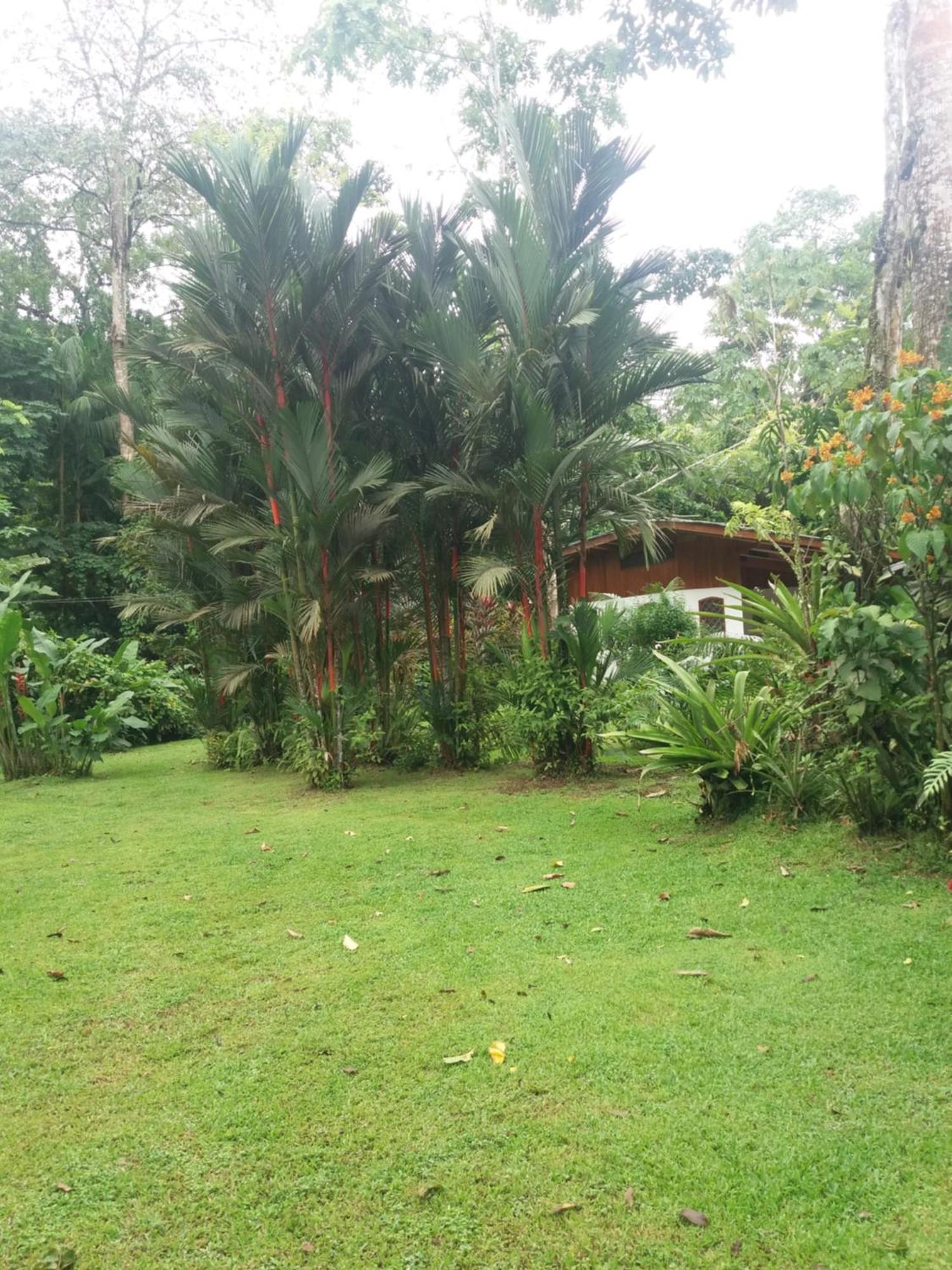 Los Delfines Lodge Puerto Viejo de Talamanca Exterior photo